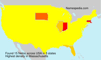 Surname Netos in USA Surname Netos in USA