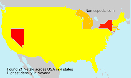 Surname Netski in USA Surname Netski in USA