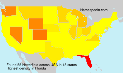 Surname Netterfield in USA Surname Netterfield in USA