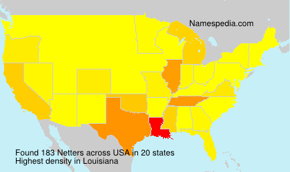Surname Netters in USA