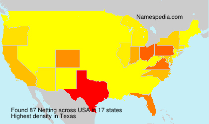 Surname Netting in USA Surname Netting in USA