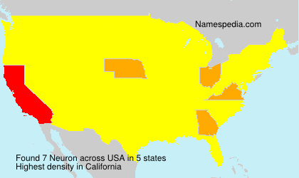 Surname Neuron in USA Surname Neuron in USA