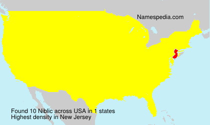 Surname Niblic in USA