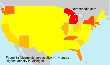 Surname Nidzgorski in USA Surname Nidzgorski in USA