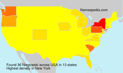 Surname Niegowski in USA Surname Niegowski in USA