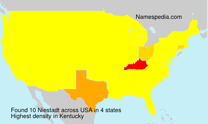 Surname Niestadt in USA Surname Niestadt in USA