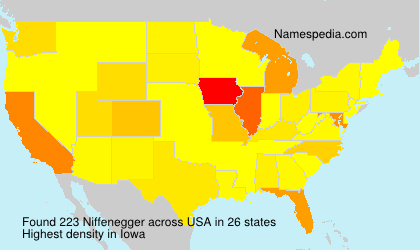 Surname Niffenegger in USA Surname Niffenegger in USA