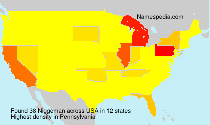 Surname Niggeman in USA Surname Niggeman in USA