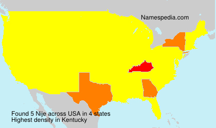 Surname Nije in USA Surname Nije in USA