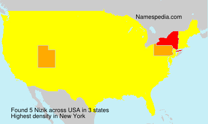 Surname Nizik in USA