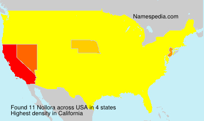 Nollora Nollora