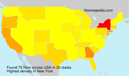Surname Noni in USA Surname Noni in USA