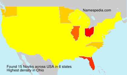 Surname Noviks in USA