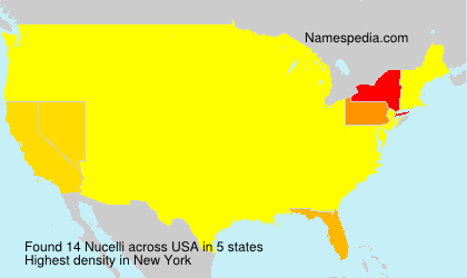 Surname Nucelli in USA