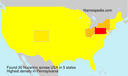 Surname Nucerino in USA