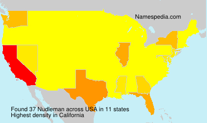Surname Nudleman in USA