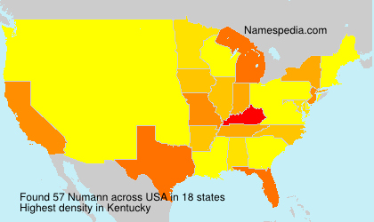 Surname Numann in USA Surname Numann in USA
