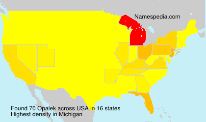 Surname Opalek in USA Surname Opalek in USA