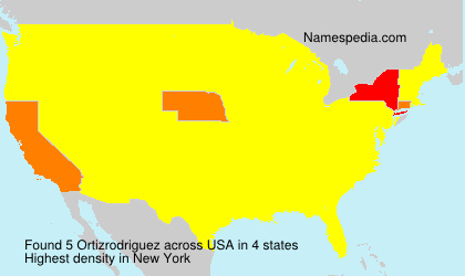 Surname Ortizrodriguez in USA