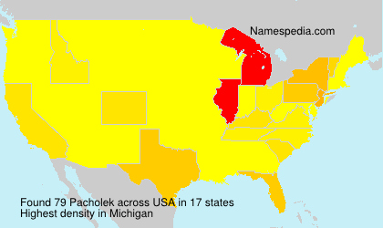 Surname Pacholek in USA Surname Pacholek in USA