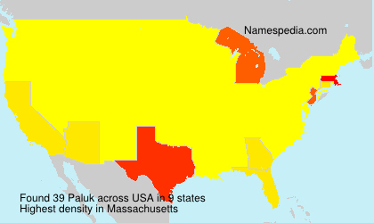 Surname Paluk in USA