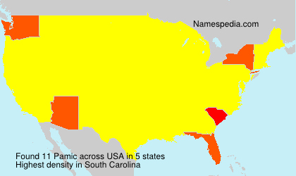 Surname Pamic in USA Surname Pamic in USA