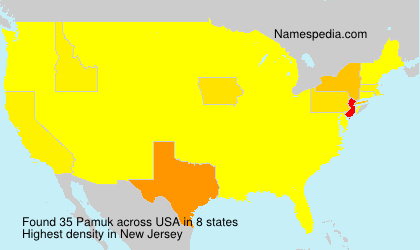 Surname Pamuk in USA Surname Pamuk in USA