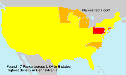 Surname Panea in USA Surname Panea in USA