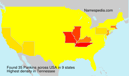 Surname Pankins in USA Surname Pankins in USA