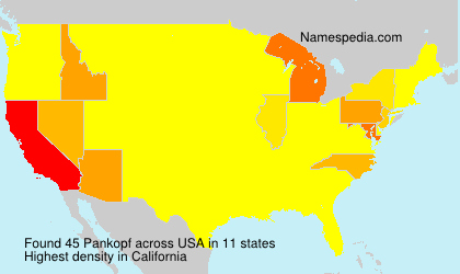 Pankopf Pankopf