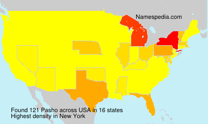 Surname Pasho in USA Surname Pasho in USA