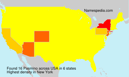 Surname Pasmino in USA Surname Pasmino in USA
