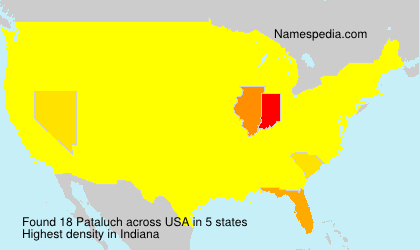 Pataluch Pataluch
