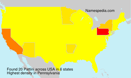 Surname Pattini in USA Surname Pattini in USA