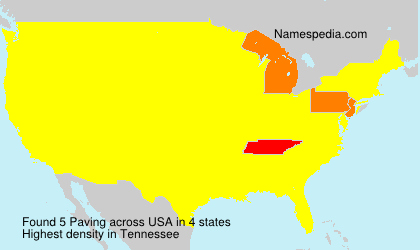 Surname Paving in USA Surname Paving in USA