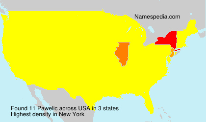 Surname Pawelic in USA