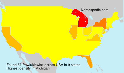 Surname Pawlukiewicz in USA Surname Pawlukiewicz in USA