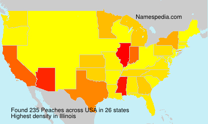 Surname Peaches in USA Surname Peaches in USA