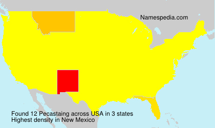 Surname Pecastaing in USA Surname Pecastaing in USA