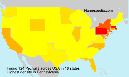Surname Pechulis in USA Surname Pechulis in USA