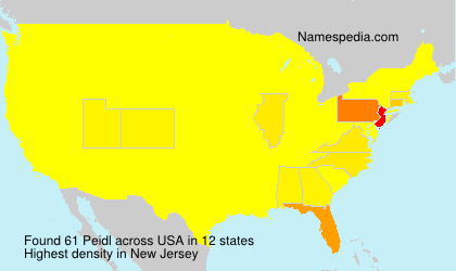 Surname Peidl in USA Surname Peidl in USA