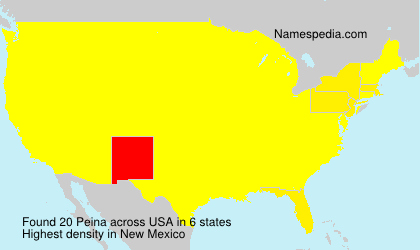 Surname Peina in USA
