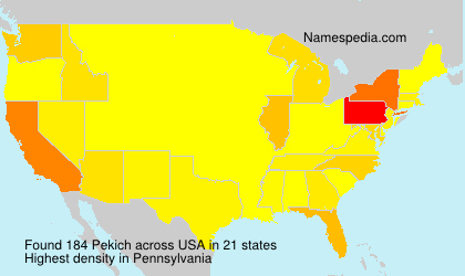 Surname Pekich in USA