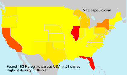 Surname Pelegrino in USA Surname Pelegrino in USA