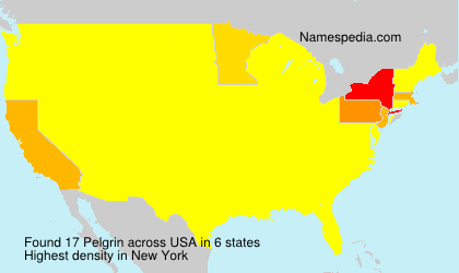 Surname Pelgrin in USA Surname Pelgrin in USA