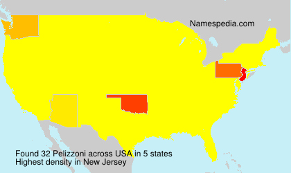 Surname Pelizzoni in USA Surname Pelizzoni in USA