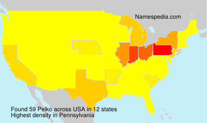 Surname Pelko in USA Surname Pelko in USA