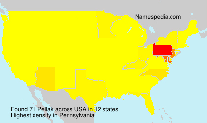 Surname Pellak in USA Surname Pellak in USA