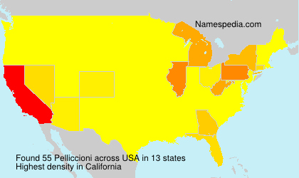 Surname Pelliccioni in USA Surname Pelliccioni in USA