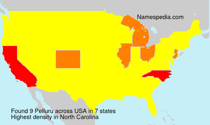 Surname Pelluru in USA